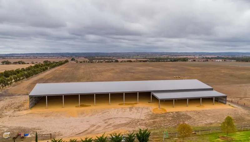 All Sheds Arena 800x600