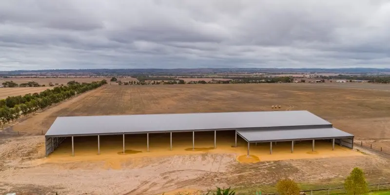 All Sheds Arena 800x600
