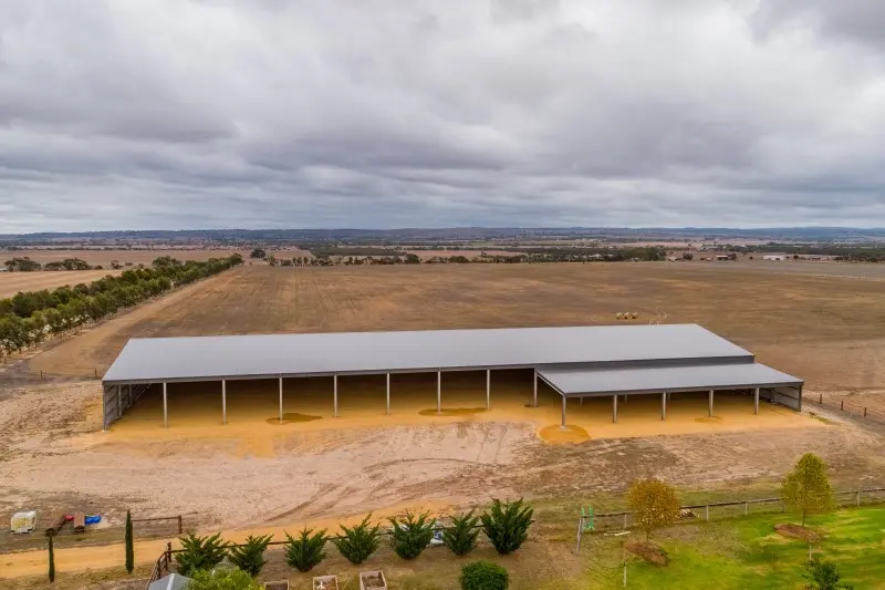 All Sheds Arena 800x600