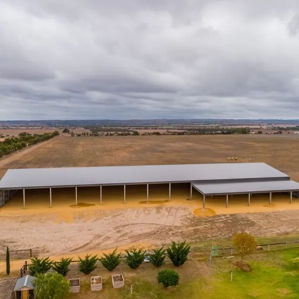 All Sheds Arena 800x600